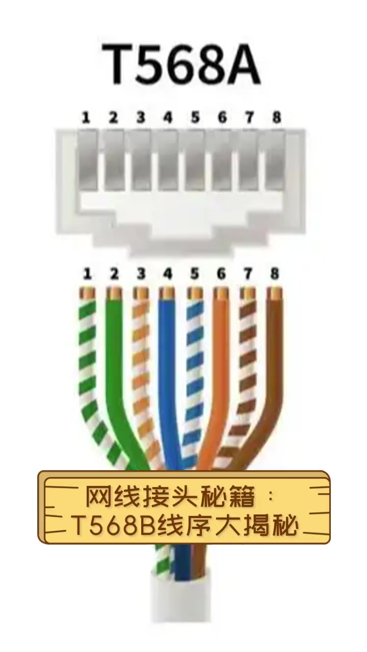 网线接头